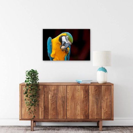 Schilderij Hongerige papegaai | 90 x 60 cm glasschilderij Schilderij Hongerige papegaai | 90 x 60 cm glasschilderij