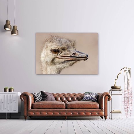 Schilderij Struisvogel van dichtbij | 150 x 100 cm glasschilderij Schilderij Struisvogel van dichtbij | 150 x 100 cm glasschilderij
