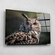 Oog-in-oog met prachtige uil | 90 x 60 cm Oog-in-oog met prachtige uil | 90 x 60 cm