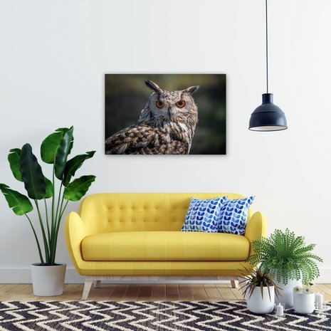 Schilderij Oog-in-oog met prachtige uil | 90 x 60 cm glasschilderij Schilderij Oog-in-oog met prachtige uil | 90 x 60 cm glasschilderij
