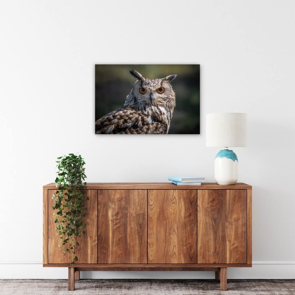 Schilderij Oog-in-oog met prachtige uil | 90 x 60 cm glasschilderij Schilderij Oog-in-oog met prachtige uil | 90 x 60 cm glasschilderij