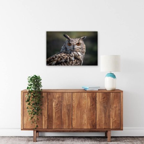 Schilderij Oog-in-oog met prachtige uil | 90 x 60 cm glasschilderij Schilderij Oog-in-oog met prachtige uil | 90 x 60 cm glasschilderij