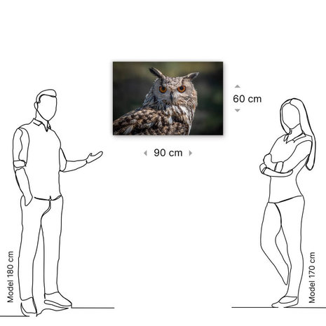 Schilderij Oog-in-oog met prachtige uil | 90 x 60 cm glasschilderij Schilderij Oog-in-oog met prachtige uil | 90 x 60 cm glasschilderij