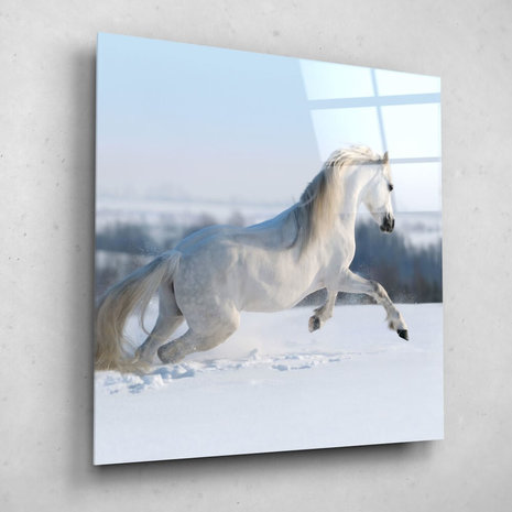 Schilderij Wit paard galopperend in de sneeuw | 90 x 90 cm glasschilderij Schilderij Wit paard galopperend in de sneeuw | 90 x 90 cm glasschilderij