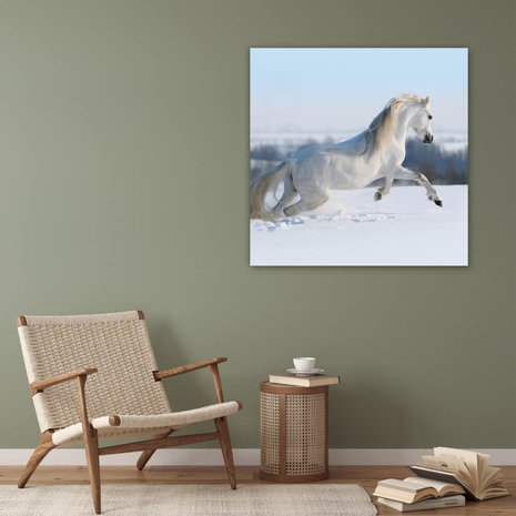 Schilderij Wit paard galopperend in de sneeuw | 90 x 90 cm glasschilderij Schilderij Wit paard galopperend in de sneeuw | 90 x 90 cm glasschilderij