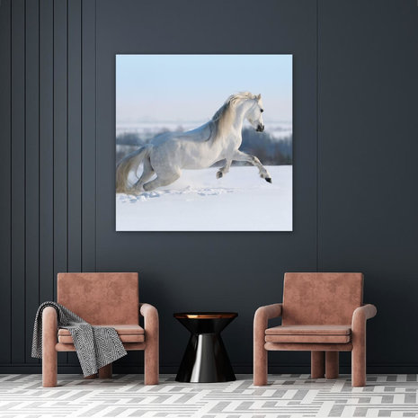 Schilderij Wit paard galopperend in de sneeuw | 90 x 90 cm glasschilderij Schilderij Wit paard galopperend in de sneeuw | 90 x 90 cm glasschilderij