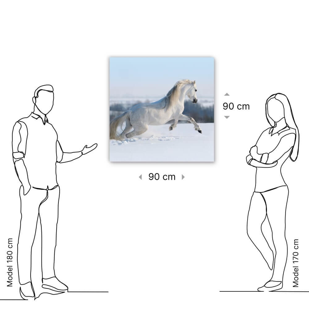 Schilderij Wit paard galopperend in de sneeuw | 90 x 90 cm glasschilderij Schilderij Wit paard galopperend in de sneeuw | 90 x 90 cm glasschilderij