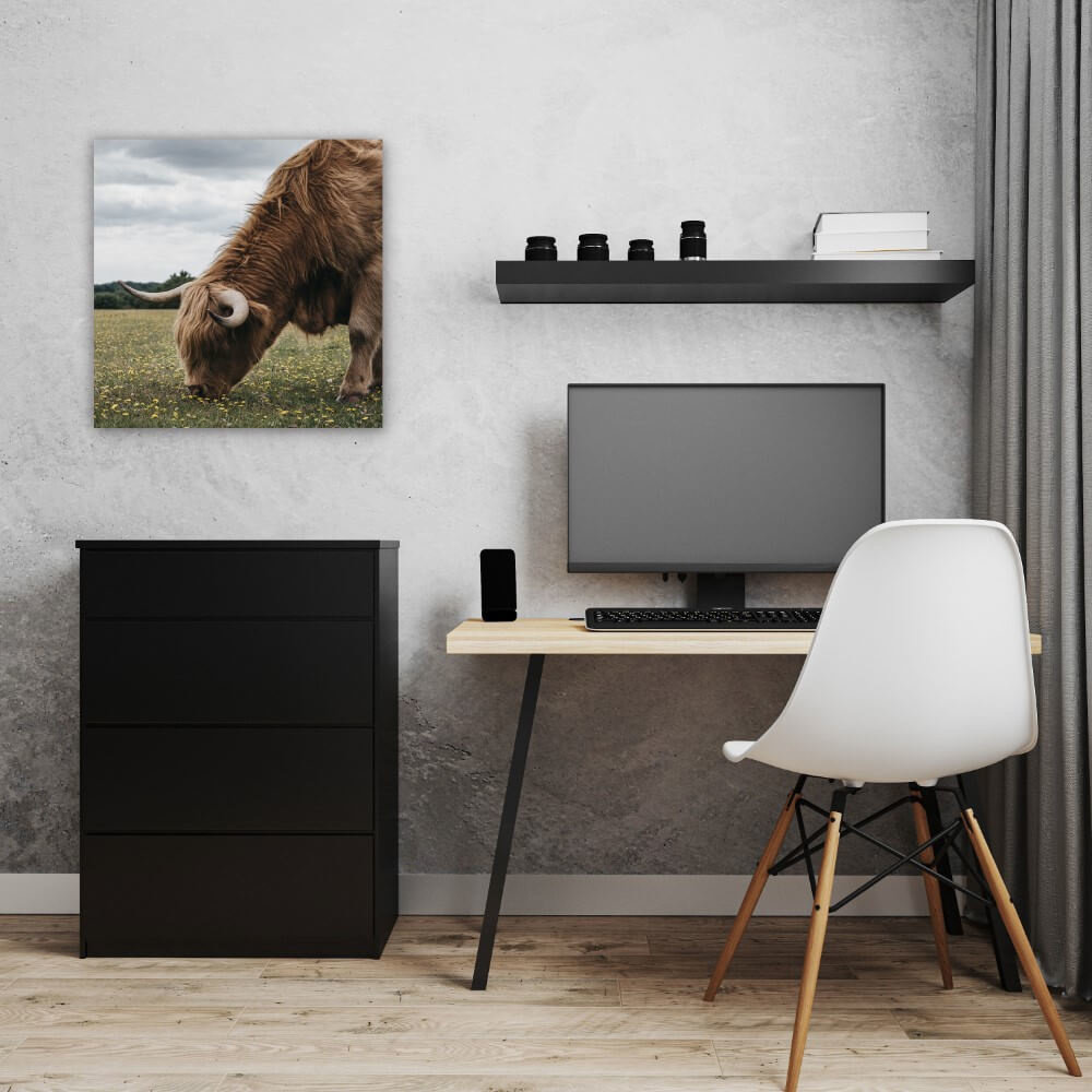 Schilderij Hooglander grazend in het New Forest park | 50 x 50 cm glasschilderij Schilderij Hooglander grazend in het New Forest park | 50 x 50 cm glasschilderij
