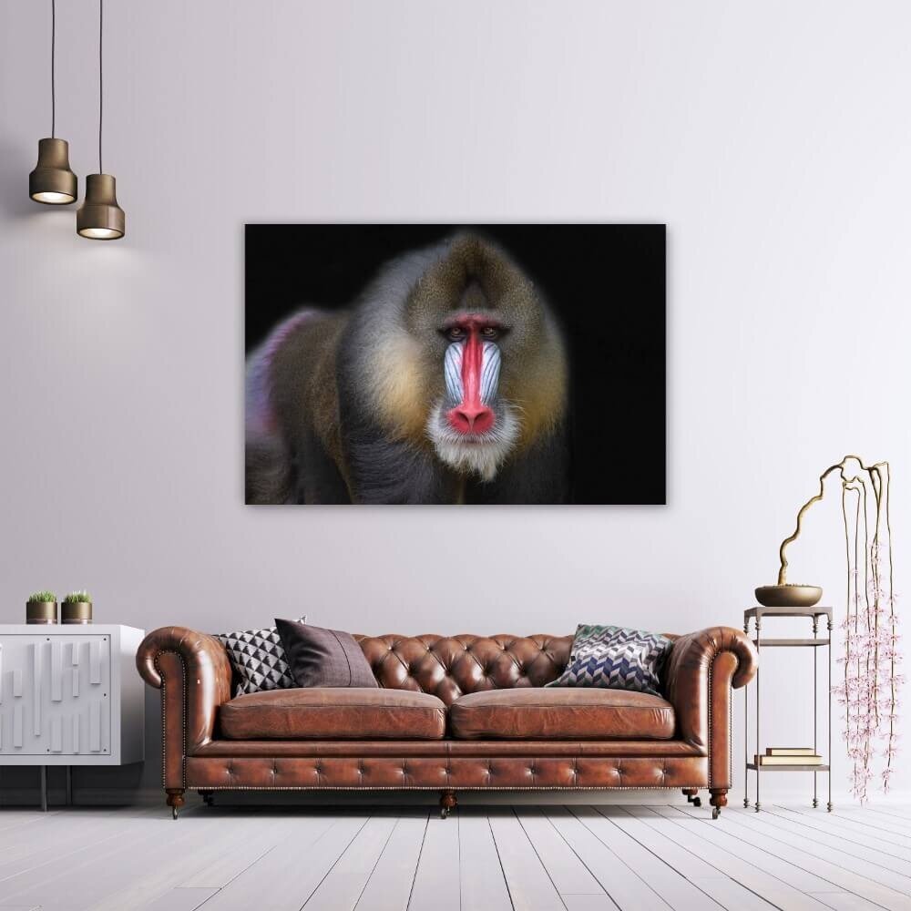 Schilderij Mandril aap met onderzoekende blik | 150 x 100 cm glasschilderij Schilderij Mandril aap met onderzoekende blik | 150 x 100 cm glasschilderij