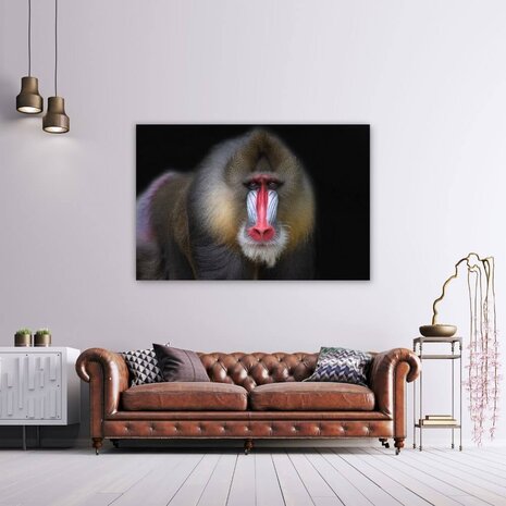 Schilderij Mandril aap met onderzoekende blik | 150 x 100 cm glasschilderij Schilderij Mandril aap met onderzoekende blik | 150 x 100 cm glasschilderij