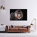 Mandril aap met onderzoekende blik | 150 x 100 cm Mandril aap met onderzoekende blik | 150 x 100 cm