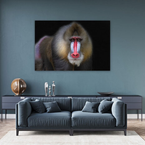 Schilderij Mandril aap met onderzoekende blik | 150 x 100 cm glasschilderij Schilderij Mandril aap met onderzoekende blik | 150 x 100 cm glasschilderij