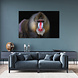 Mandril aap met onderzoekende blik | 150 x 100 cm Mandril aap met onderzoekende blik | 150 x 100 cm