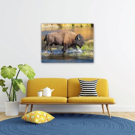 Schilderij Bizon door het water | 100 x 75 cm glasschilderij Schilderij Bizon door het water | 100 x 75 cm glasschilderij