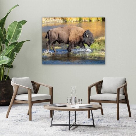 Schilderij Bizon door het water | 100 x 75 cm glasschilderij Schilderij Bizon door het water | 100 x 75 cm glasschilderij