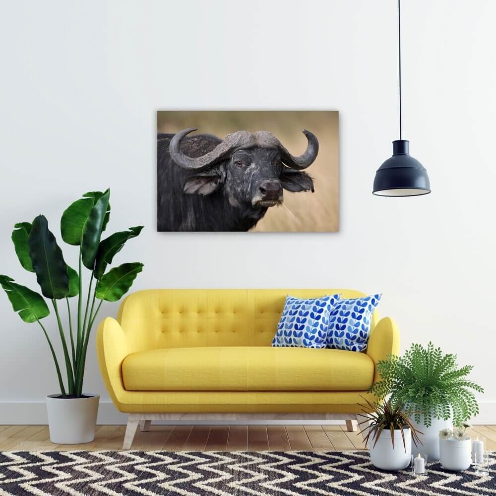 Schilderij Indrukwekkend buffel portret | 90 x 60 cm glasschilderij Schilderij Indrukwekkend buffel portret | 90 x 60 cm glasschilderij