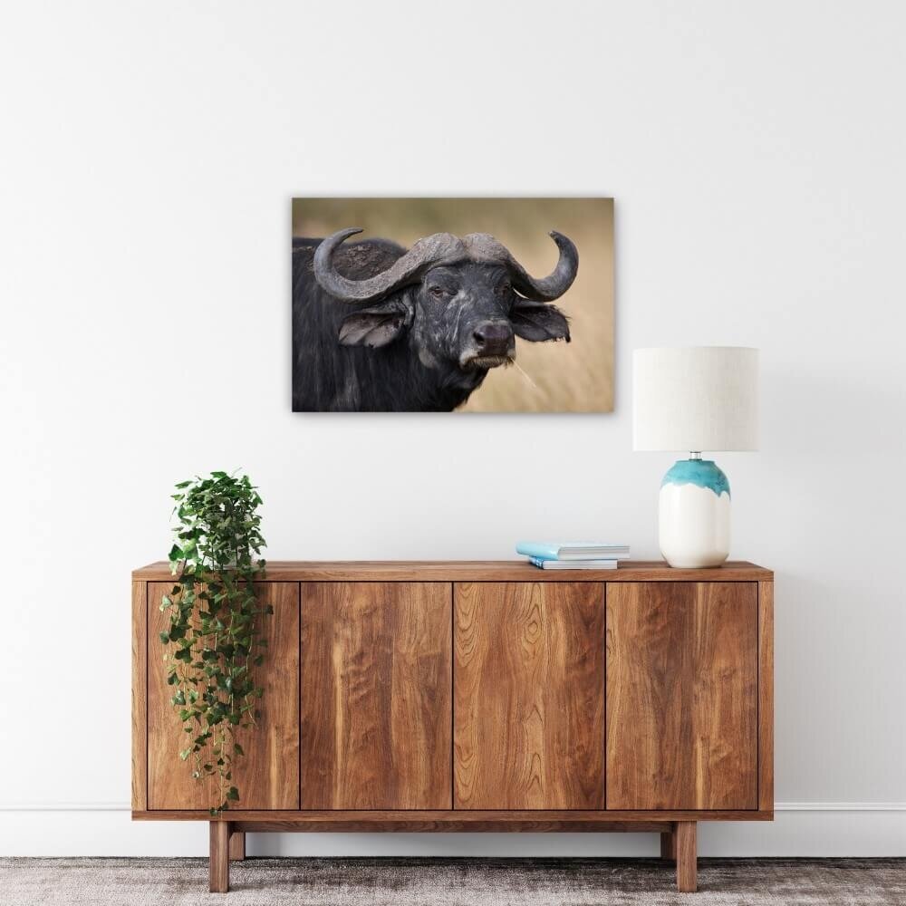 Schilderij Indrukwekkend buffel portret | 90 x 60 cm glasschilderij Schilderij Indrukwekkend buffel portret | 90 x 60 cm glasschilderij
