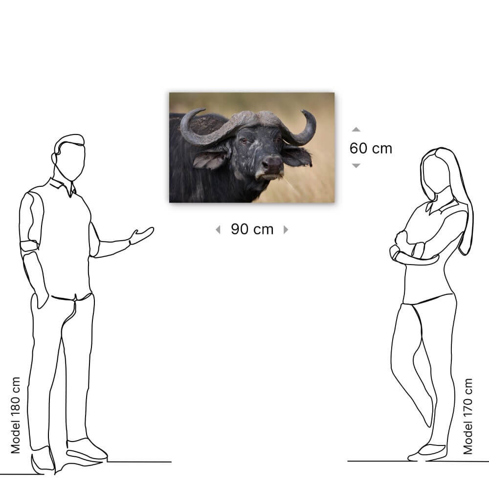 Schilderij Indrukwekkend buffel portret | 90 x 60 cm glasschilderij Schilderij Indrukwekkend buffel portret | 90 x 60 cm glasschilderij