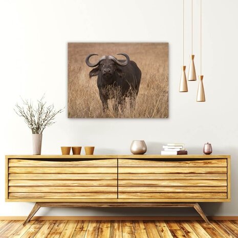 Schilderij Buffel op de savanne | 80 x 60 cm glasschilderij Schilderij Buffel op de savanne | 80 x 60 cm glasschilderij