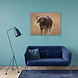 Buffel op de savanne | 80 x 60 cm Buffel op de savanne | 80 x 60 cm