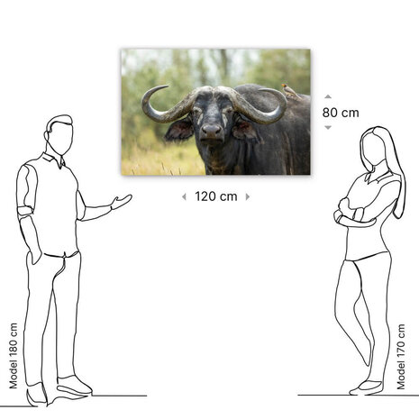 Schilderij Buffel met vogel op de rug | 120 x 80 cm glasschilderij Schilderij Buffel met vogel op de rug | 120 x 80 cm glasschilderij