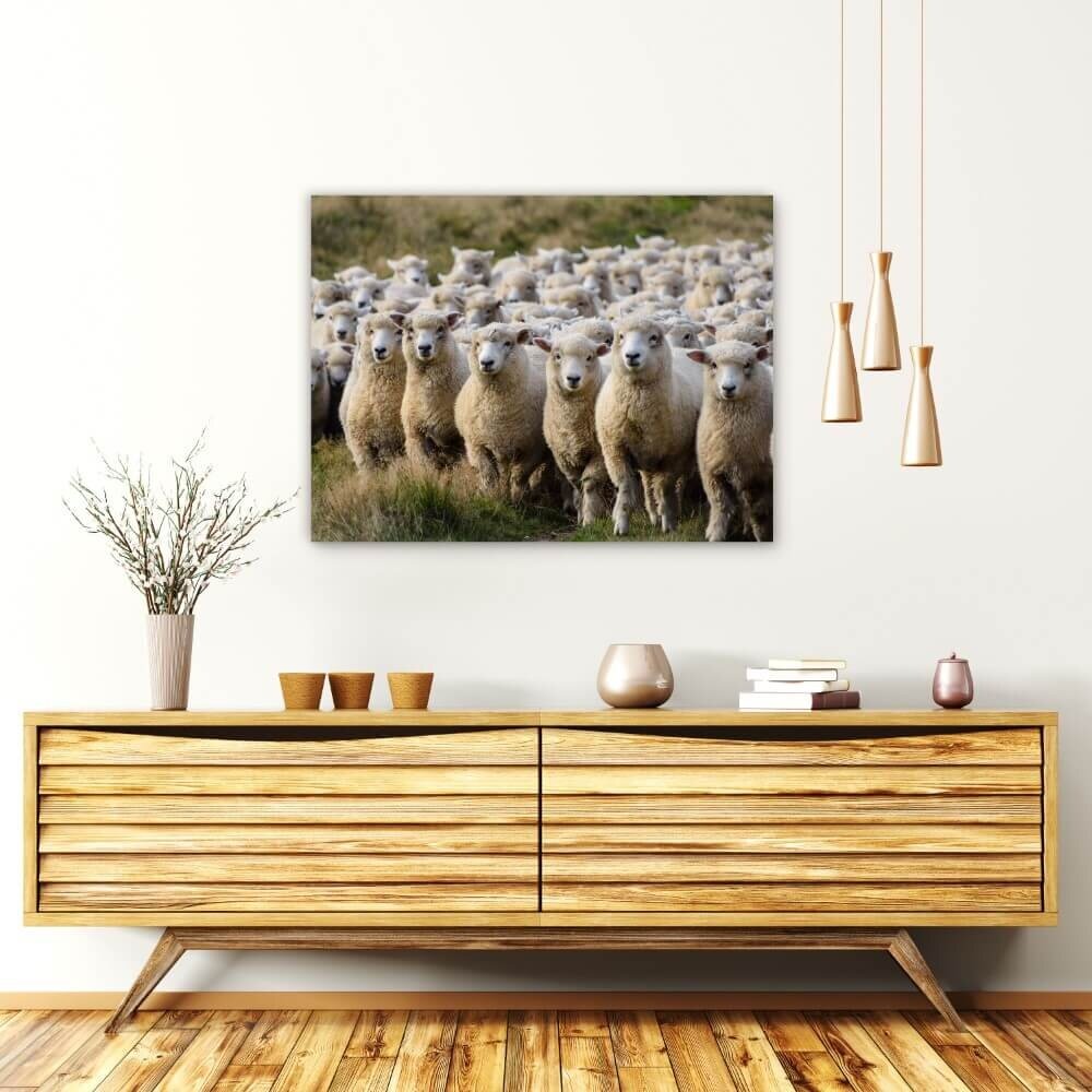 Schilderij Groep van schapen op de uitkijk | 80 x 60 cm glasschilderij Schilderij Groep van schapen op de uitkijk | 80 x 60 cm glasschilderij