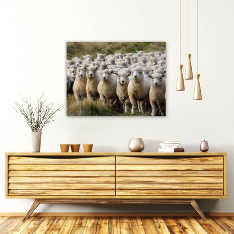 Schilderij Groep van schapen op de uitkijk | 80 x 60 cm glasschilderij Schilderij Groep van schapen op de uitkijk | 80 x 60 cm glasschilderij