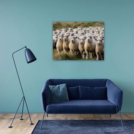 Schilderij Groep van schapen op de uitkijk | 80 x 60 cm glasschilderij Schilderij Groep van schapen op de uitkijk | 80 x 60 cm glasschilderij