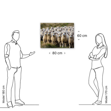 Schilderij Groep van schapen op de uitkijk | 80 x 60 cm glasschilderij Schilderij Groep van schapen op de uitkijk | 80 x 60 cm glasschilderij