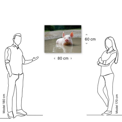 Schilderij Biggetje in het water | 80 x 60 cm glasschilderij Schilderij Biggetje in het water | 80 x 60 cm glasschilderij