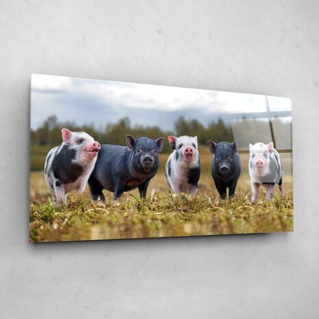 Schilderij Zwarte en gevlekte varkens op een rij | 120 x 60 cm glasschilderij Schilderij Zwarte en gevlekte varkens op een rij | 120 x 60 cm glasschilderij