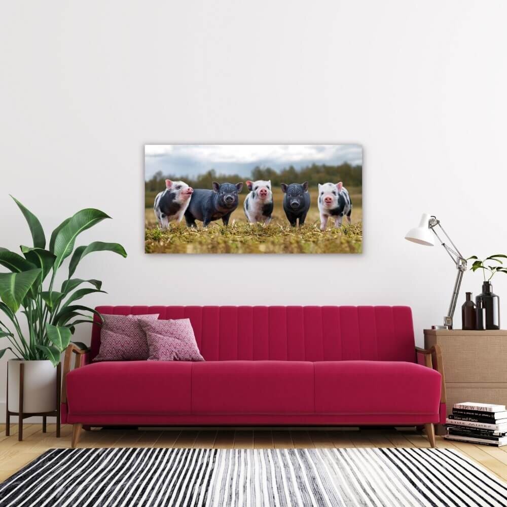 Schilderij Zwarte en gevlekte varkens op een rij | 120 x 60 cm glasschilderij Schilderij Zwarte en gevlekte varkens op een rij | 120 x 60 cm glasschilderij