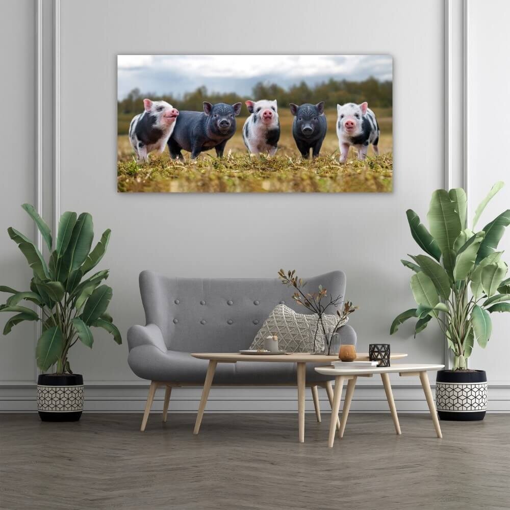 Schilderij Zwarte en gevlekte varkens op een rij | 120 x 60 cm glasschilderij Schilderij Zwarte en gevlekte varkens op een rij | 120 x 60 cm glasschilderij