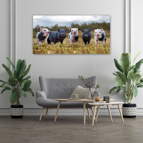 Schilderij Zwarte en gevlekte varkens op een rij | 120 x 60 cm glasschilderij Schilderij Zwarte en gevlekte varkens op een rij | 120 x 60 cm glasschilderij