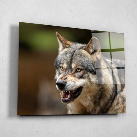 Schilderij Wolf laat zijn tanden zien | 80 x 60 cm glasschilderij Schilderij Wolf laat zijn tanden zien | 80 x 60 cm glasschilderij