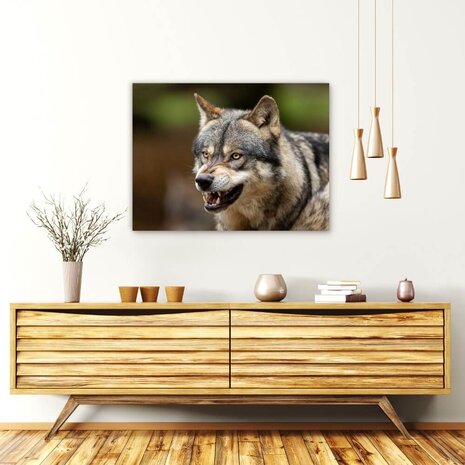 Schilderij Wolf laat zijn tanden zien | 80 x 60 cm glasschilderij Schilderij Wolf laat zijn tanden zien | 80 x 60 cm glasschilderij