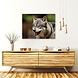 Wolf laat zijn tanden zien | 80 x 60 cm Wolf laat zijn tanden zien | 80 x 60 cm