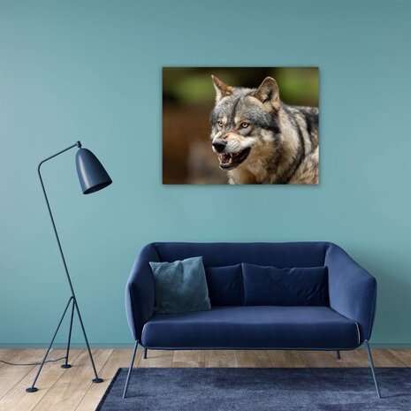 Schilderij Wolf laat zijn tanden zien | 80 x 60 cm glasschilderij Schilderij Wolf laat zijn tanden zien | 80 x 60 cm glasschilderij