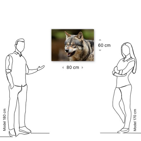 Schilderij Wolf laat zijn tanden zien | 80 x 60 cm glasschilderij Schilderij Wolf laat zijn tanden zien | 80 x 60 cm glasschilderij