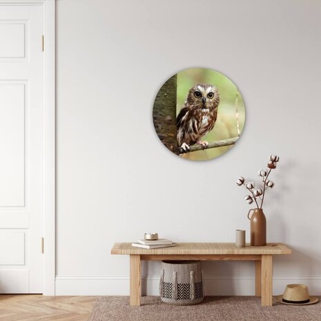Schilderij Kleine schattige uil | Rond 60 cm glasschilderij Schilderij Kleine schattige uil | Rond 60 cm glasschilderij