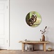 Kleine schattige uil | Rond 60 cm Kleine schattige uil | Rond 60 cm