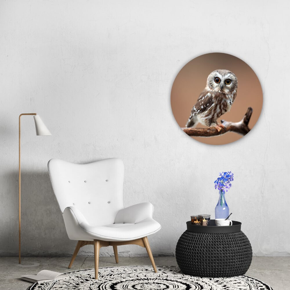 Schilderij Nieuwsgierige uil | Rond 70 cm glasschilderij Schilderij Nieuwsgierige uil | Rond 70 cm glasschilderij