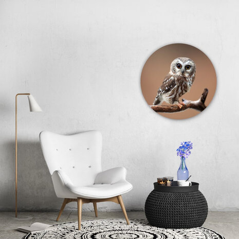 Schilderij Nieuwsgierige uil | Rond 70 cm glasschilderij Schilderij Nieuwsgierige uil | Rond 70 cm glasschilderij