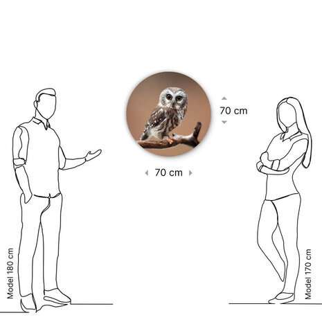 Schilderij Nieuwsgierige uil | Rond 70 cm glasschilderij Schilderij Nieuwsgierige uil | Rond 70 cm glasschilderij