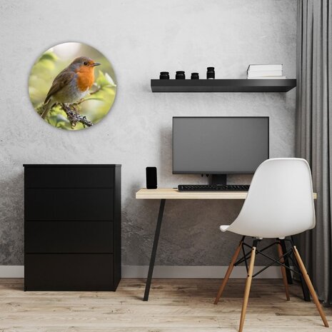 Schilderij Roodborstje in de vroege ochtend | Rond 50 cm glasschilderij Schilderij Roodborstje in de vroege ochtend | Rond 50 cm glasschilderij