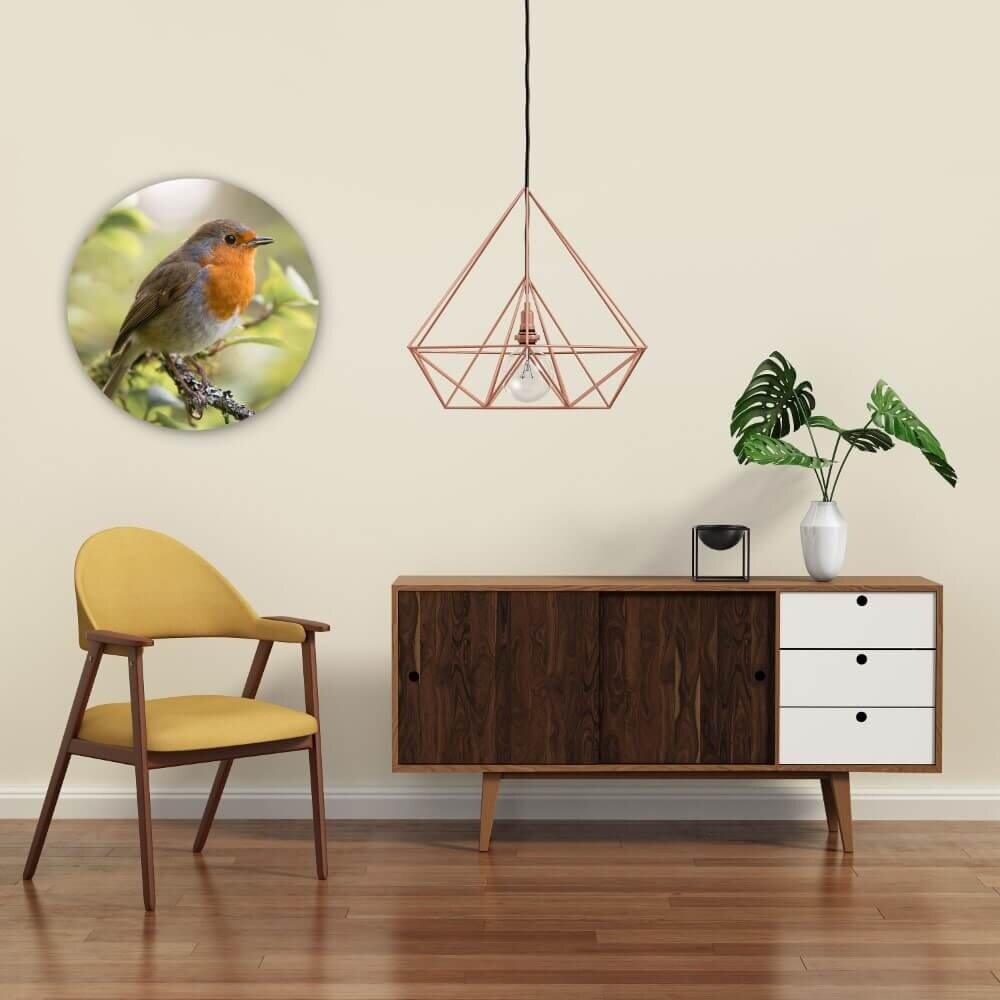 Schilderij Roodborstje in de vroege ochtend | Rond 50 cm glasschilderij Schilderij Roodborstje in de vroege ochtend | Rond 50 cm glasschilderij