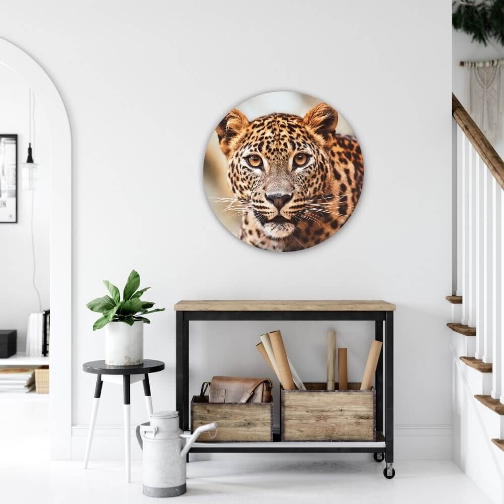 Schilderij Krachtig luipaard in beeld | Rond 70 cm glasschilderij Schilderij Krachtig luipaard in beeld | Rond 70 cm glasschilderij