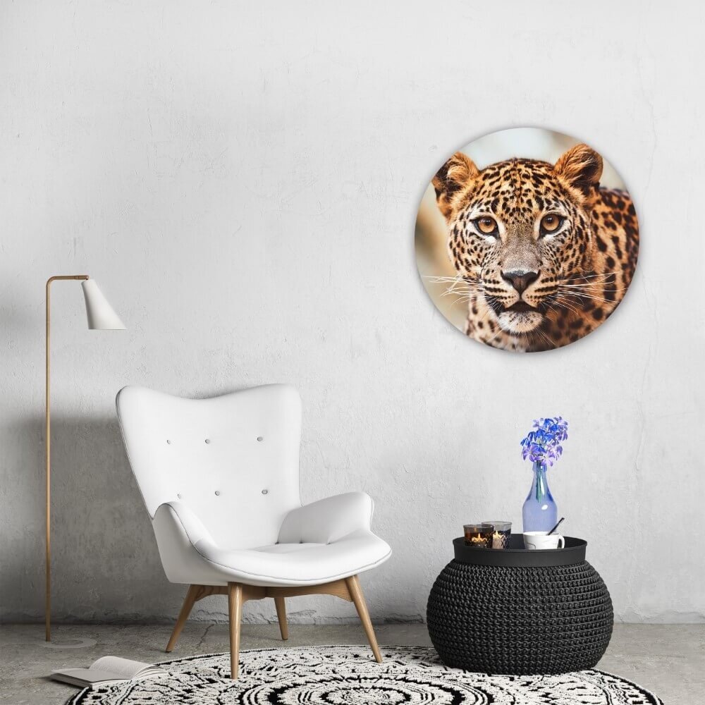 Schilderij Krachtig luipaard in beeld | Rond 70 cm glasschilderij Schilderij Krachtig luipaard in beeld | Rond 70 cm glasschilderij