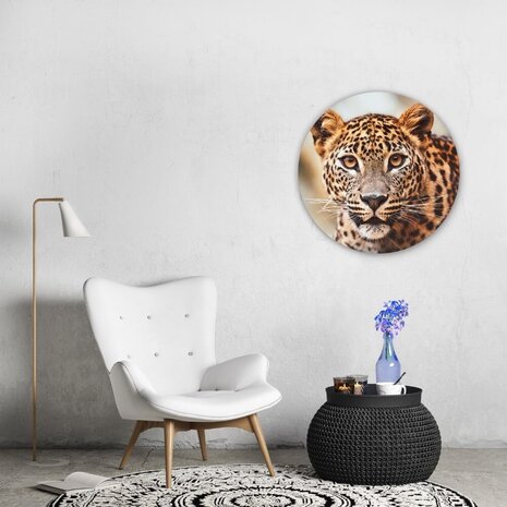 Schilderij Krachtig luipaard in beeld | Rond 70 cm glasschilderij Schilderij Krachtig luipaard in beeld | Rond 70 cm glasschilderij