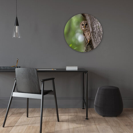 Schilderij Uil verborgen in de bomen | Rond 60 cm glasschilderij Schilderij Uil verborgen in de bomen | Rond 60 cm glasschilderij
